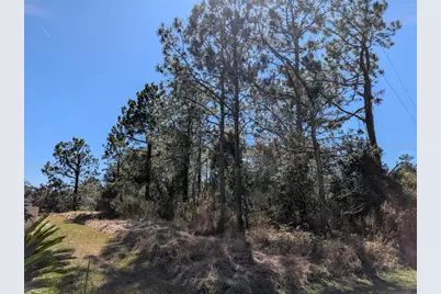 26 Kashmir Trail, Palm Coast, FL 32164 - Photo 8