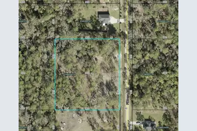 10055 Flikkema Avenue, Hastings, FL 32145 - Photo 4