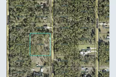 10055 Flikkema Avenue, Hastings, FL 32145 - Photo 1