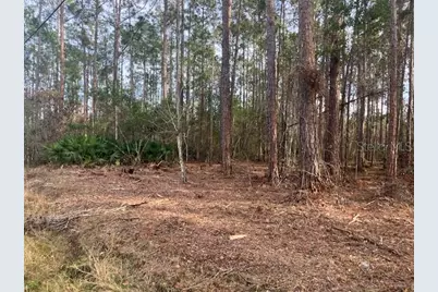 4515 Mahogany Boulevard, Bunnell, FL 32110 - Photo 1