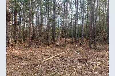 4515 Mahogany Boulevard, Bunnell, FL 32110 - Photo 2