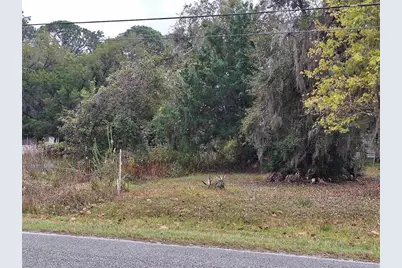 203 Crescent Lake Shore Drive, Crescent City, FL 32112 - Photo 6