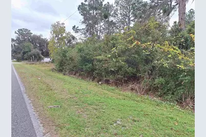 203 Crescent Lake Shore Drive, Crescent City, FL 32112 - Photo 2