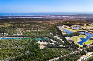 251 Amber Trl, Palm Coast, FL 32137 - Photo 1