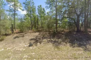 2551 W Sheila Dr, Citrus Springs, FL 34433 - Photo 1