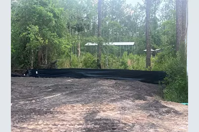 2217 Lancewood Street, Bunnell, FL 32110 - Photo 4