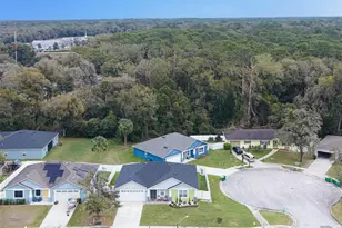 113 Plumosus Park Dr, Deland, FL 32724 - Photo 32