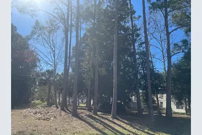 60 Birchwood Drive, Palm Coast, FL 32137 - Photo 2