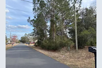 4 Royal Leaf Lane, Palm Coast, FL 32164 - Photo 2