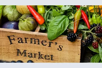 101 Palm Harbor Parkway #A-308a, Palm Coast, FL 32137 - Photo 12