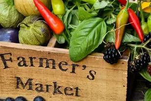 101 Palm Harbor Pkwy, Palm Coast, FL 32137 - Photo 12