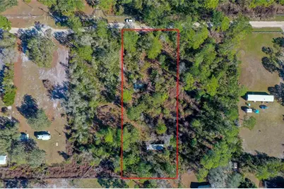 33150 Forest Ridge Road, Deland, FL 32720 - Photo 6