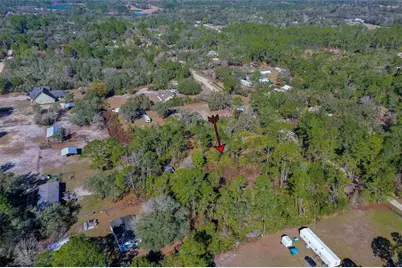 33150 Forest Ridge Road, Deland, FL 32720 - Photo 8