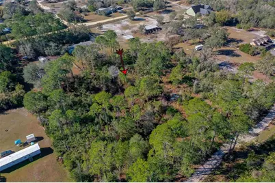 33150 Forest Ridge Road, Deland, FL 32720 - Photo 4