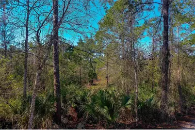 33150 Forest Ridge Road, Deland, FL 32720 - Photo 2