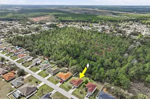 69 London Dr, Palm Coast, FL 32137 - Photo 64