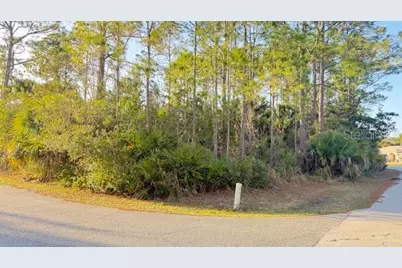 102 Randolph Drive, Palm Coast, FL 32164 - Photo 1