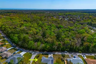 65 Blare Dr, Palm Coast, FL 32137 - Photo 46