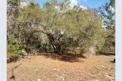 1251 Seminole Drive, De Leon Springs, FL 32130 - Photo 30