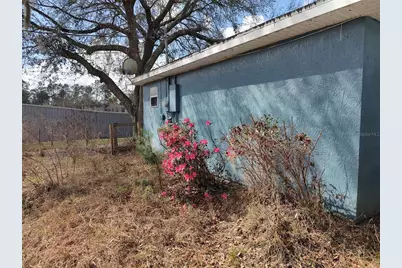 1251 Seminole Drive, De Leon Springs, FL 32130 - Photo 4