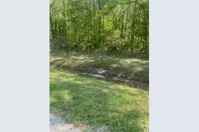 10140 Yeager Avenue, Hastings, FL 32145 - Photo 6