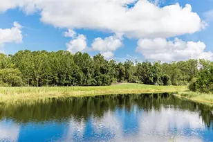 58 Mulligan Wy, Bunnell, FL 32110 - Photo 42