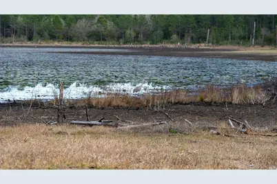 5370 County Road 214, Keystone Heights, FL 32656 - Photo 18