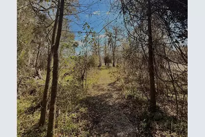 3425 NW 156th Avenue, Gainesville, FL 32609 - Photo 44