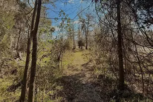 3425 NW 156th Ave, Gainesville, FL 32609 - Photo 44