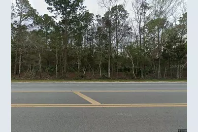 439 County Road 13, Bunnell, FL 32110 - Photo 1