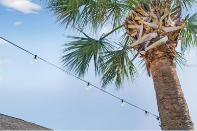 130 Heron Dunes Drive, Ormond Beach, FL 32176 - Photo 44