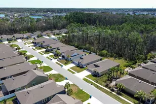 74 Cardinal Br Ln, Saint Augustine, FL 32095 - Photo 44