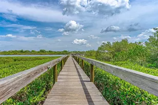 217 Schooner Ave, Edgewater, FL 32141 - Photo 52