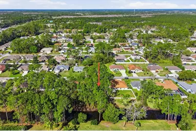 40 Brushwood Lane, Palm Coast, FL 32137 - Photo 10