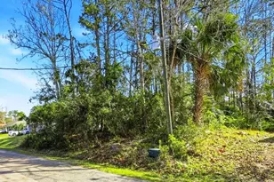 40 Brushwood Ln, Palm Coast, FL 32137 - Photo 1