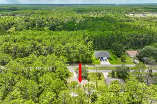 57 Sleepy Hollow Trail, Palm Coast, FL 32164 - Photo 40