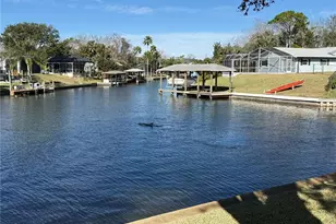 21 Corona Ct, Palm Coast, FL 32137 - Photo 56