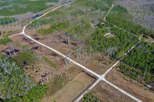 330 Damascus Rd, Deland, FL 32724 - Photo 6