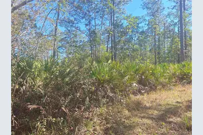 330 Damascus Road, Deland, FL 32724 - Photo 24