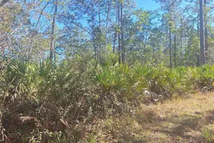 330 Damascus Rd, Deland, FL 32724 - Photo 24