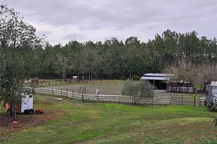 980 Still Rd, Pierson, FL 32180 - Photo 40