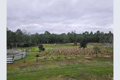 980 Still Road, Pierson, FL 32180 - Photo 44