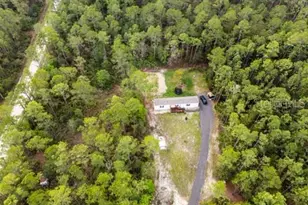 5631 Ironwood Ave, Bunnell, FL 32110 - Photo 24