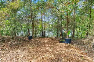 13 Willow St, Palm Coast, FL 32164 - Photo 42