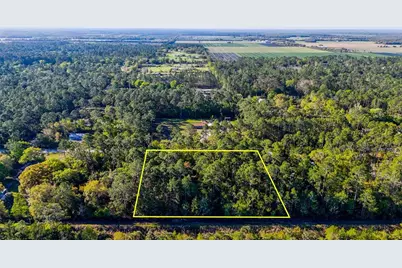 4544 Butternut Avenue, Bunnell, FL 32110 - Photo 42