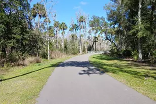 123 Arena Lake Dr, Palm Coast, FL 32137 - Photo 44