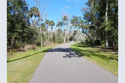 123 Arena Lake Drive, Palm Coast, FL 32137 - Photo 46