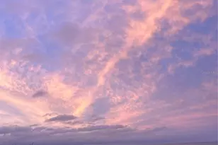 59 Ocean St, Palm Coast, FL 32137 - Photo 42