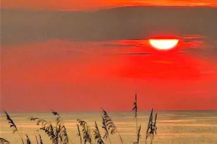 59 Ocean St, Palm Coast, FL 32137 - Photo 50