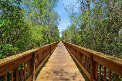 192 Modesto Drive, Saint Augustine, FL 32086 - Photo 48